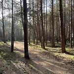 Sunset Dziesiatka Przy Plazy Grzybowo (West Pomeranian)
